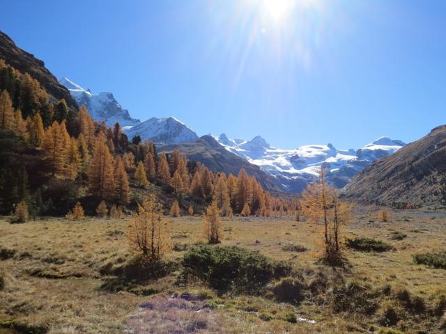 ...und biegen links ab hinunter zu der Schwemmebene auf der Val Roseg