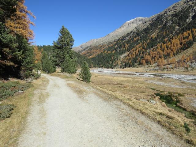 ...wandern wir nun auf breitem Weg talauswärts...
