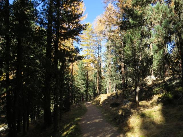 auf dem gleichen Wanderweg wie wir am Morgen gekommen sind...