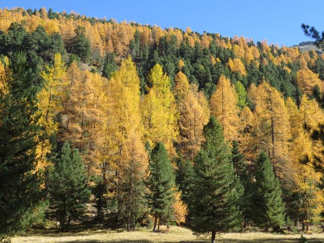 die Farben sind einfach überwältigend