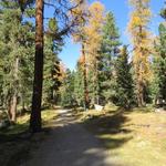 eine Wanderung durch das Roseg Tal im Oktober ist sehr empfehlenswert