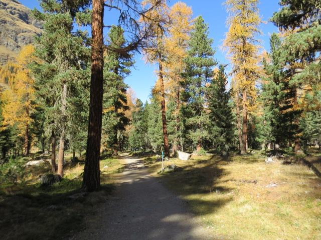 eine Wanderung durch das Roseg Tal im Oktober ist sehr empfehlenswert