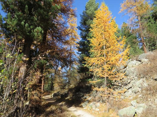 weiter alles talauswärts...