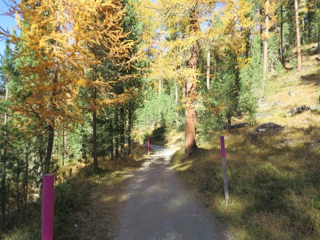 die Wanderung durch das Val Roseg zieht sich in die Länge