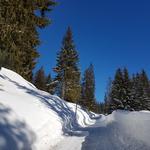 über das verschneite Bergsträsschen fahren wir an Tschiemen 1179 m.ü.M. vorbei