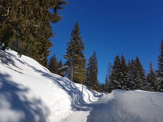 über das verschneite Bergsträsschen fahren wir an Tschiemen 1179 m.ü.M. vorbei