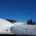 am Horizont taucht das Holzchalet von Lägerstutz auf