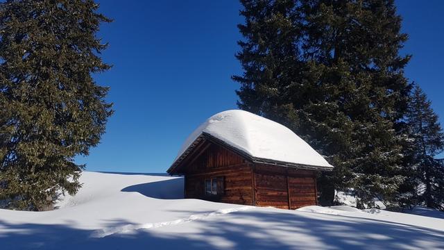 wir durchwandern eine tief verschneite Landschaft