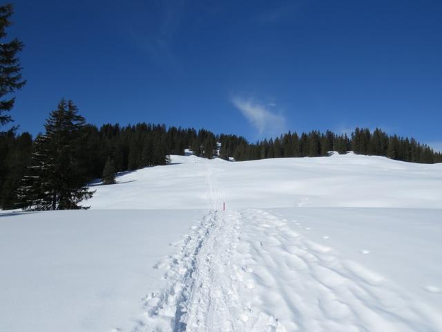 links an Punkt 1597 m.ü.M. vorbei, geht es aufwärts Richtung Winterröscht