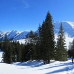 sehr schönes Breitbildfoto mit Blick auf die Brienzerkette vom Augstmatthorn rechts, bis zum Tannhorn links