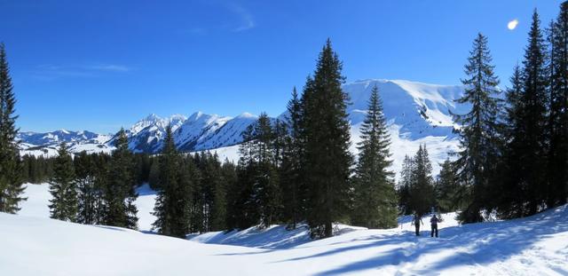 sehr schönes Breitbildfoto mit Blick auf die Brienzerkette vom Augstmatthorn rechts, bis zum Tannhorn links