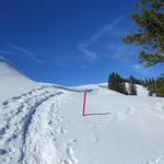 in der Wildschutzzone Lombachalp ist es strengstens verboten den markierten Schneeschuh Trail zu verlassen