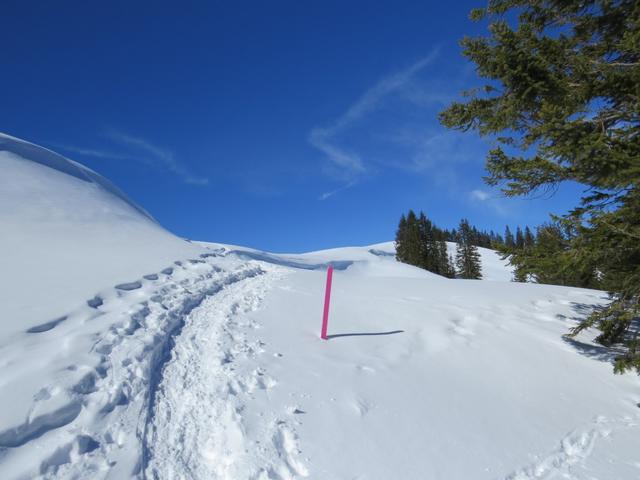 in der Wildschutzzone Lombachalp ist es strengstens verboten den markierten Schneeschuh Trail zu verlassen