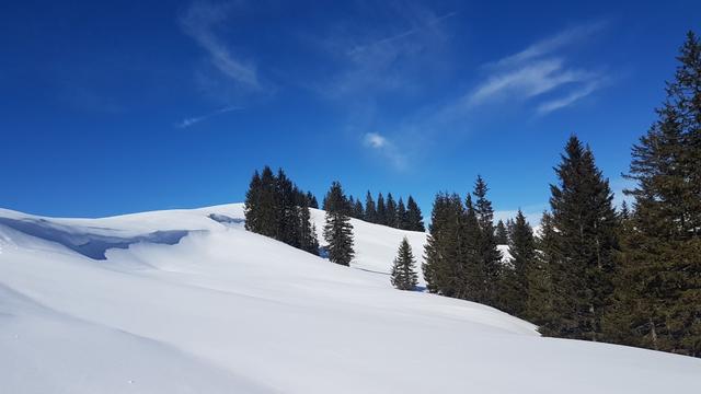 wir erreichen Winterröscht 1758 m.ü.M.