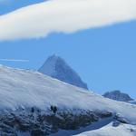 der Gipfel des Schreckhorn ist sichtbar