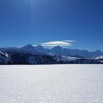 fast der ganze Berner Alpenkamm ist sichtbar