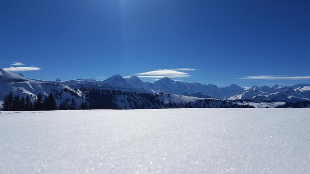 fast der ganze Berner Alpenkamm ist sichtbar