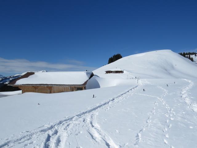 wir haben die Alphäuser auf Läger 1722 m.ü.M. erreicht