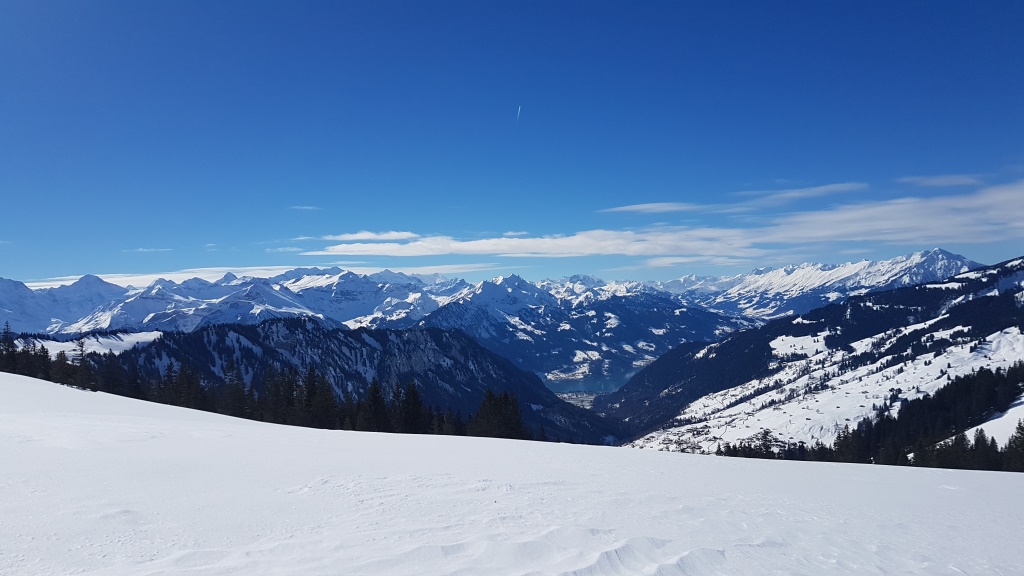 Blick auf den Thunersee und in die Berner Alpen