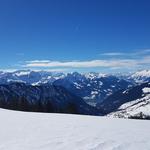 Blick auf den Thunersee und in die Berner Alpen