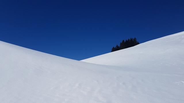 über eine traumhafte...