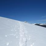 was wir aber auf dem Bolberg bestaunen können ist unglaublich