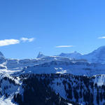 Bärglistock, Schreckhorn, Finsteraarhorn, Fiescherhörner und das Dreigestirn Eiger, Mönsch und Jungfrau