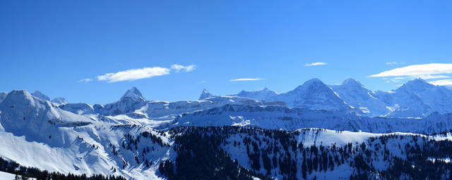 Bärglistock, Schreckhorn, Finsteraarhorn, Fiescherhörner und das Dreigestirn Eiger, Mönsch und Jungfrau