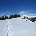 wir befinden uns nun auf dem Bolberg 1799 m.ü.M.