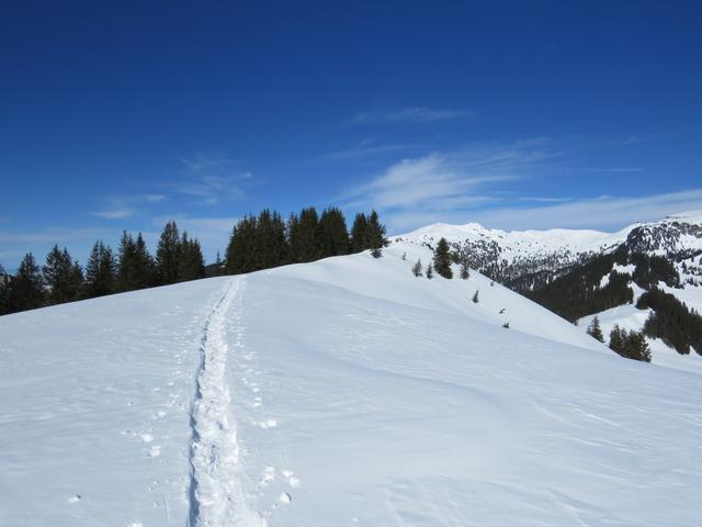 wir befinden uns nun auf dem Bolberg 1799 m.ü.M.