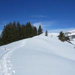 alles am breiten Kamm des Bolberg entlang...