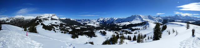 super schönes Breitbildfoto mit Blick auf die ganze Lombachalp