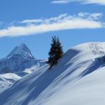 wir sind sprachlos. Blick  auf das Schreckhorn