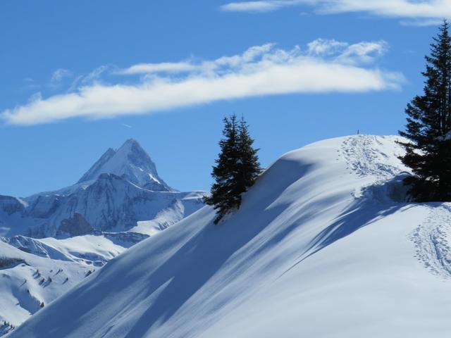 wir sind sprachlos. Blick  auf das Schreckhorn