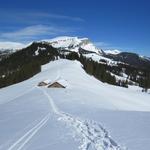 steil geht es auf der anderen Seite hinab. Was für ein Vergnügen im Tiefschnee hinunter zu rennen