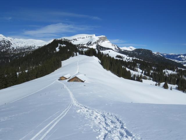 steil geht es auf der anderen Seite hinab. Was für ein Vergnügen im Tiefschnee hinunter zu rennen