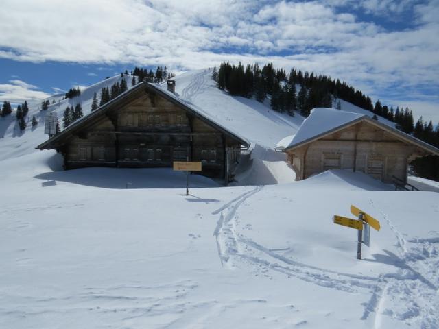 rasch haben wir die Alphäuser bei der Weggabelung 1704 m.ü.M. erreicht