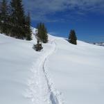 der Ranger der Lombachalp hat eine sehr gute Spur gezogen