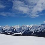 was für ein Ausblick auf Augstmatthorn, Riedergrat, Tannhorn und zuhinterst Brienzer Rothorn