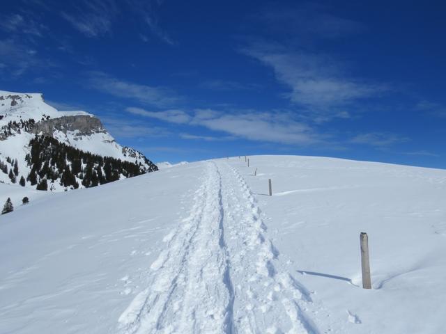 über traumhaftes Schneeschuhgebiet erreichen wir den Stand 1765 m.ü.M.