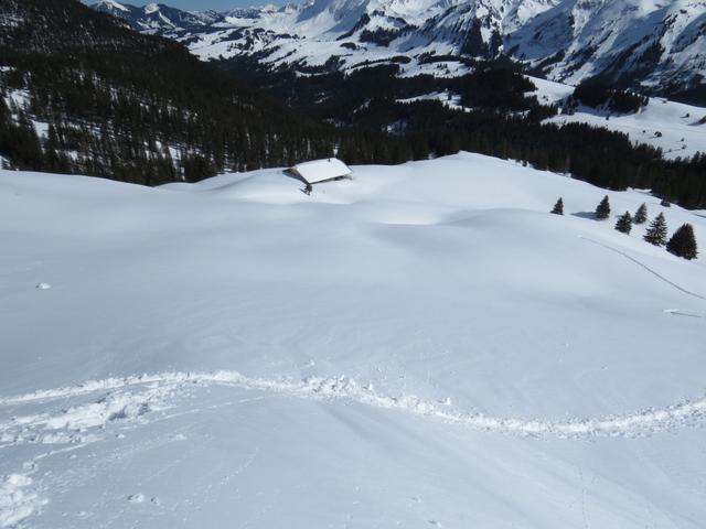 ...und wandern über Tiefschnee einen steilen Hang abwärts...