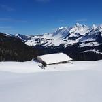 ...zum neuen Bauernhof bei Punkt 1692 m.ü.M.