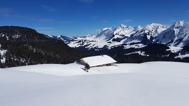 ...zum neuen Bauernhof bei Punkt 1692 m.ü.M.