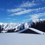 über eine traumhafte Winterlandschaft...