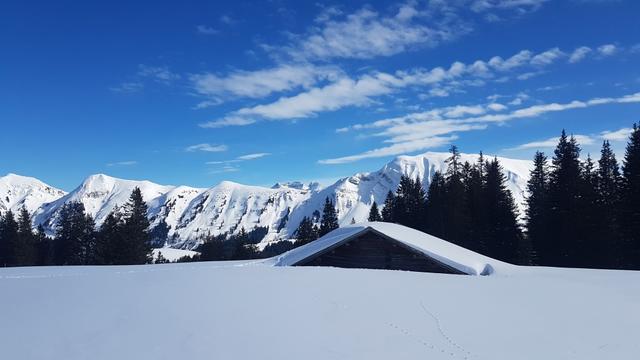 über eine traumhafte Winterlandschaft...