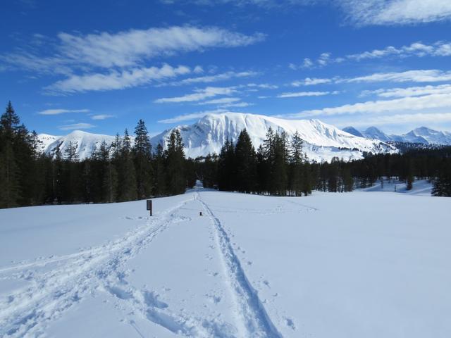 bei Punkt 1586 m.ü.M. überqueren wir den Schwarzbach