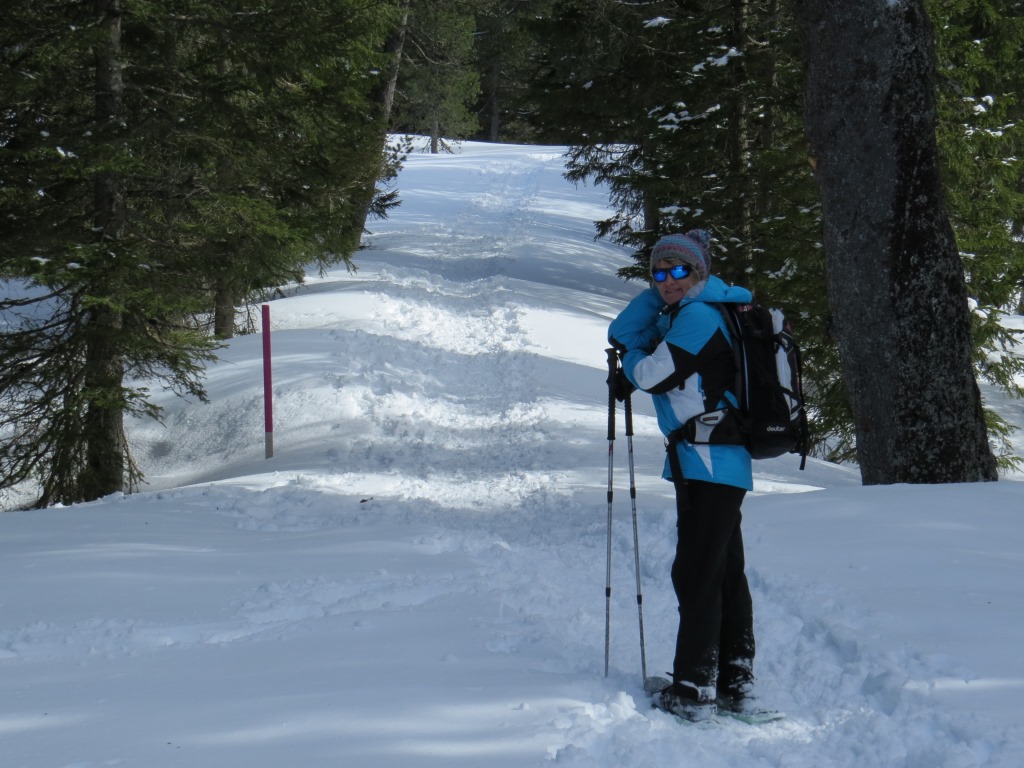 den markierten Schneeschuhtrail nicht verlassend, geht es weiter Richtung Lägerstutz