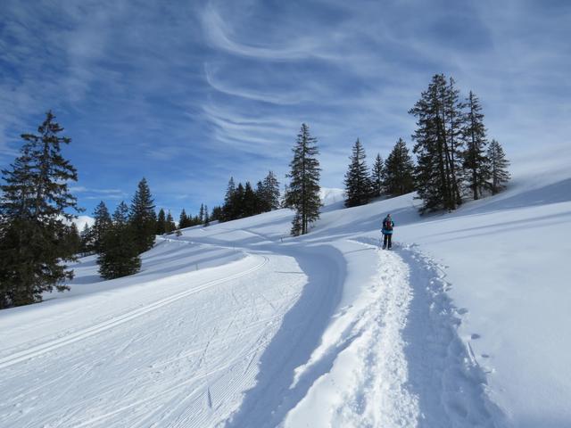 neben der Langlaufloipe wandernd...