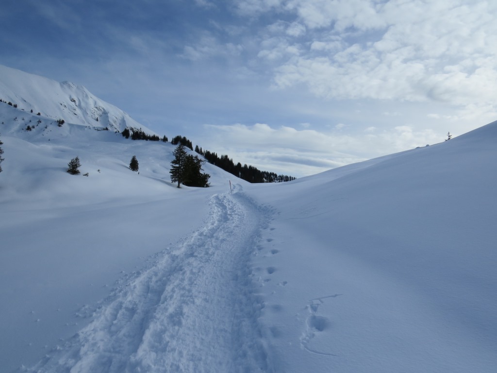 eine traumhaft schöne Schneeschuhtour neigt sich dem Ende zu