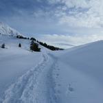 eine traumhaft schöne Schneeschuhtour neigt sich dem Ende zu